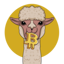 Alpaca