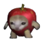 Apple Cat