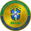 Brazil National Football Team Fan Token