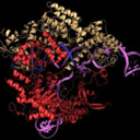 Cas9 (CRISPR) Live Price, Chart and Marketcap