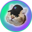 CatSolHat