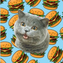 Cheezburger Cat (CHEEZ) Live Price, Chart and Marketcap