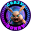 CrazyBunny