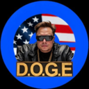 Department Of Government Efficiency (D.O.G.E) Live Price, Chart and Marketcap