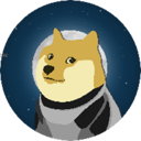 DOGE-1 (DOGE1) Live Price, Chart and Marketcap