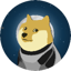 DOGE-1