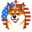 Doge for President