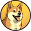 Dogecoin20