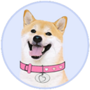 DogeGF Live Price, Chart and Marketcap