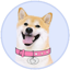 DogeGF