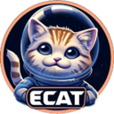 ELON CAT FINANCE (ECAT) Live Price, Chart and Marketcap