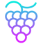 Grape Protocol