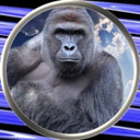 Harambe on Solana Live Price, Chart and Marketcap