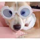 Iro-Chan Live Price, Chart and Marketcap