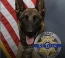 K-9 Killed in Shootout (TITAN) Live Price, Chart and Marketcap