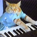 Keyboard Cat (KEYCAT) Live Price, Chart and Marketcap