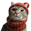 Kittywifhat