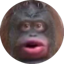 Monkecoin