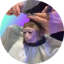 monkeyhaircut