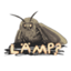 Moth