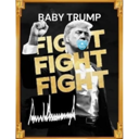 OFFICIAL BABY TRUMP (BTRUMP) Live Price, Chart and Marketcap