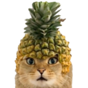 Pineapple Cat (PICA) Live Price, Chart and Marketcap