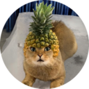 Pineapple Cat (PCAT) Live Price, Chart and Marketcap