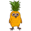 Pineapple Owl