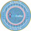 RC Celta de Vigo Fan Token