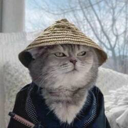 Samurai Cat (YUKI) Live Price, Chart and Marketcap