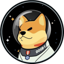 Satellite Doge-1 Mission