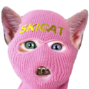 SKI MASK CAT (SKICAT) Live Price, Chart and Marketcap