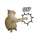 Slap cat Live Price, Chart and Marketcap