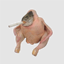 Smoking Chicken Fish