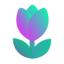 Tulip Protocol