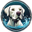 Splash Dog (BUSTER) Live Price, Chart and Marketcap