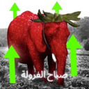 Strawberry Elephant (صباح الفر) Live Price, Chart and Marketcap