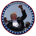 TrumpsFight Live Price, Chart and Marketcap