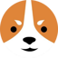 Welshcorgicoin