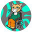 Wheelchair Cat